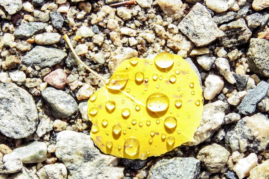 Setembro Amarelo 2020: uma campanha de conscientização sobre a prevenção do suicídio