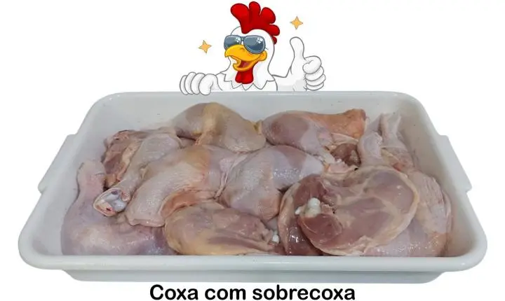 Abatedouro Show de Bola em Rio Bonito